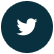 Condividi su Twitter